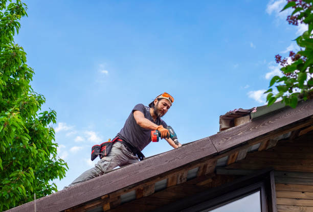 Best Skylight Installation and Repair  in Gorman, NC
