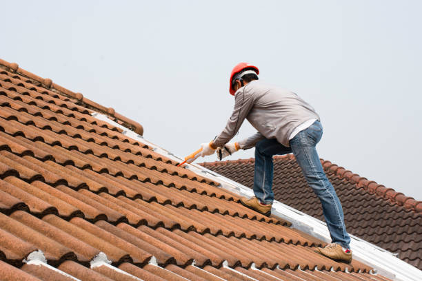 Best Chimney Flashing Repair  in Gorman, NC